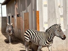 -水上乐园·欢乐世界