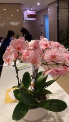 -四川娇点医学美容医院