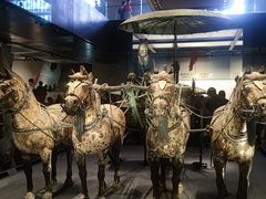 -秦始皇帝陵博物院-丽山园
