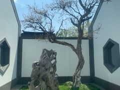 -苏州吴宫泛太平洋酒店