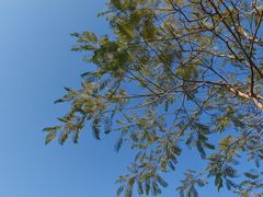 -白石龙音乐公园