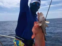 -小猫钓鱼海钓俱乐部(椰梦长廊店)