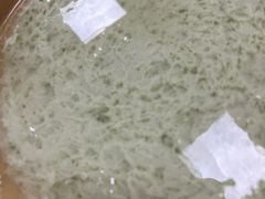 水上漂豆花-人和水上飘(第一家店)