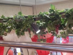 -香港威特瑞茶餐厅(小白楼音乐厅店)