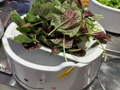 -龍歌自助小火锅(李沧顺和汇店)