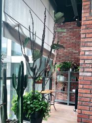 -THE BARN大屋理发馆