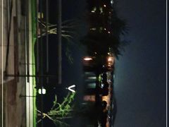 -羊山湖公园