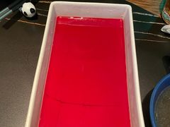 鲜鸭血-大隐·成都火锅Bistro(合生麒麟新天地店)