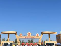 -金塔沙漠胡杨林景区