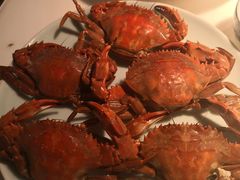 -日丰园海肠水饺·老字号大连海鲜(和平广场店)