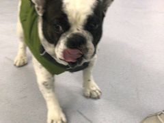 -达爱动物医院·犬猫分区·CT·复杂眼科(远洋山水分院)