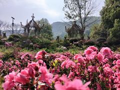 -木兰云雾山