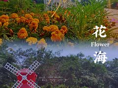 -龙凤山庄影视度假村