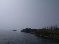 -全乐鱼馆·淳牌有机鱼直营店