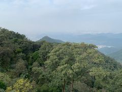 -梧桐山风景名胜区