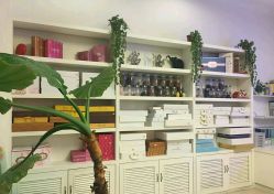 -诗媛嘉美健康管理中心(金桥店)