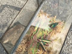 -浙江农林大学(东湖校区)