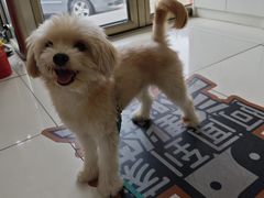 -纳吉亚猫专科动物医院博雅分院
