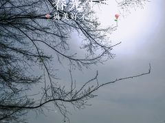 -艾溪湖湿地公园