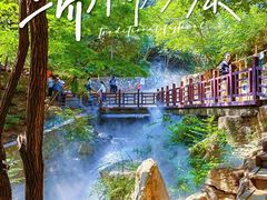 -北京西山国家森林公园