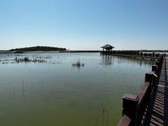 -南大港湿地风景区