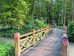 -桤木河湿地公园