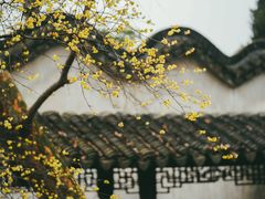 -留园