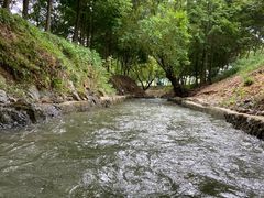 -天目湖松岭竹海漂流