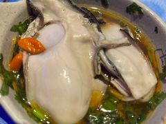 -千岛蚝高压锅生蚝·人参火锅(白云万达店)