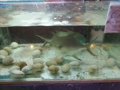 -真浪大家乐海鲜餐馆