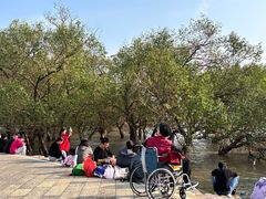 -宝安西湾红树林湿地公园