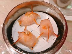 -8餐厅(新葡京酒店)