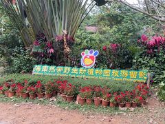 -海南热带野生动植物园