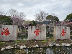-香雪海