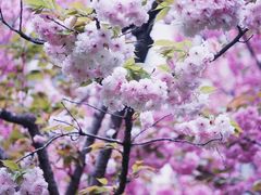 -苏州河梦清园环保主题公园