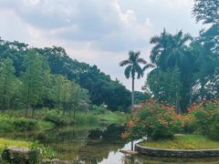 -云溪植物园