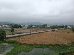 -黄牛肉馆·皖南土菜