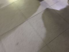 -宴全牛粤来越牛潮汕鲜牛肉火锅(海州万达广场店)