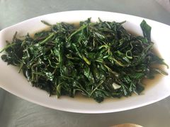 炒野菜-稻香村鱼庄