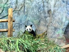 -深圳野生动物园