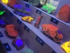 -湖南省地质博物馆