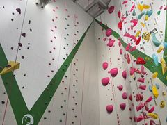 -绿壁虎攀岩基地(Tcar店)