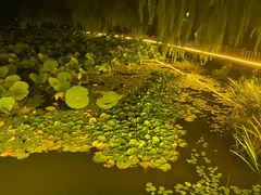 -长春市南湖公园