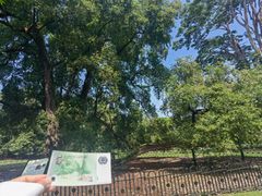 -植物园哈利亚餐厅