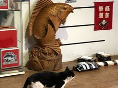 -酷鱼垂钓CLUB(朝阳区博大路店 )