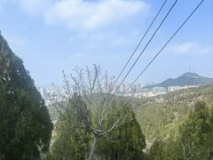 -佛慧山