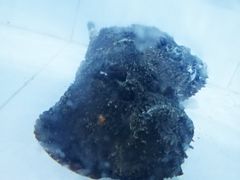 -海盗餐厅