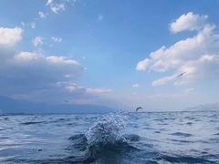 -大理洱海