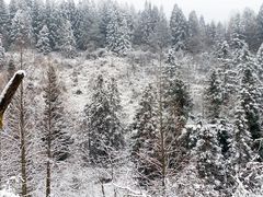 -山王坪喀斯特国家生态公园
