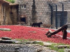 -北京野生动物园